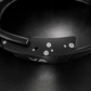 Gym Lifting Belt